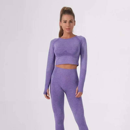 Motion Seamless Long Sleeve Crop Top-Orchid - LussoCA