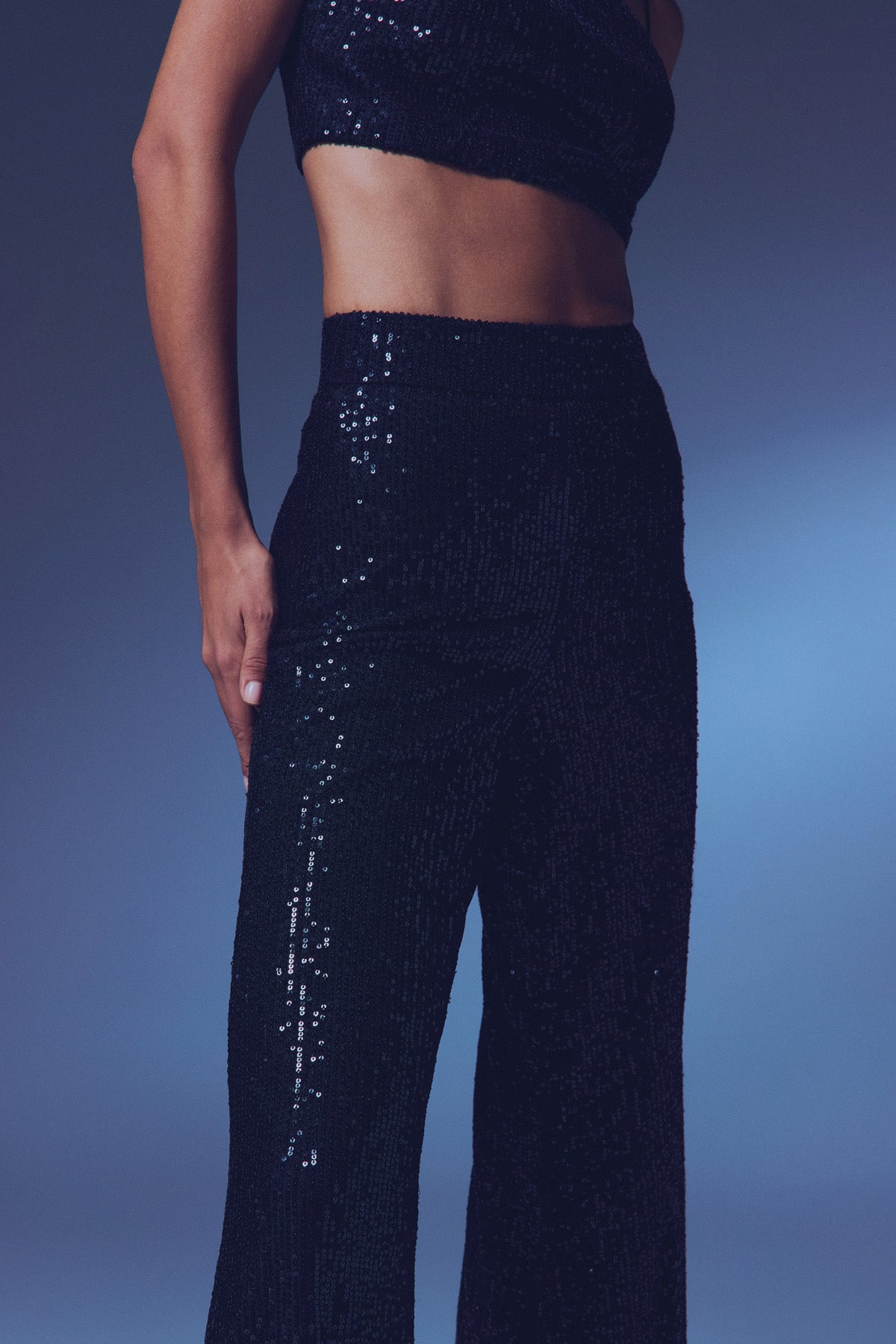 Sequin Wide Leg Side Zipper Trousers - Black